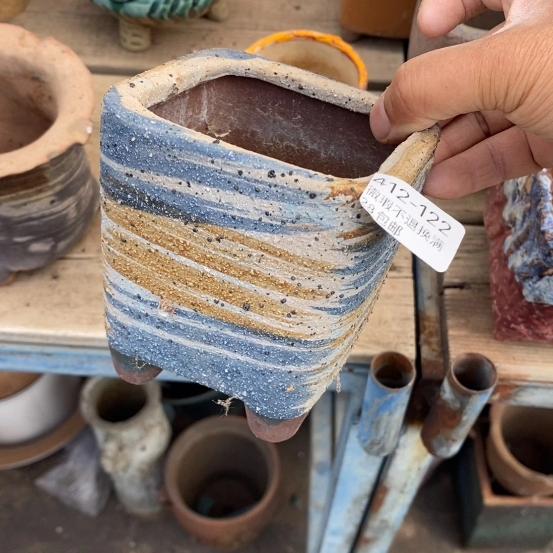 ?****姐122号多肉盆一个呀