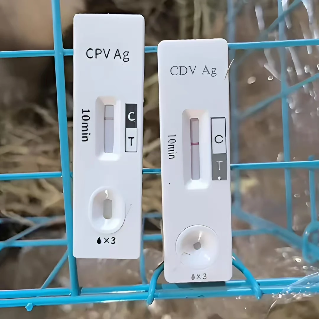 宠物检测试纸拍前咨詢客服