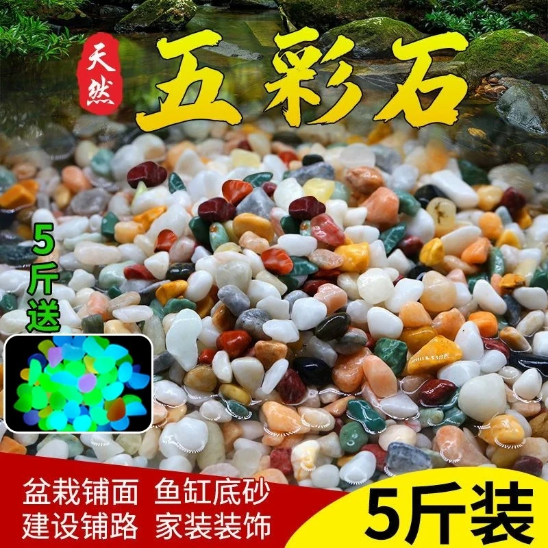 天然五花石鹅卵石雨花石用于鱼缸水族箱造景及盆栽铺面
