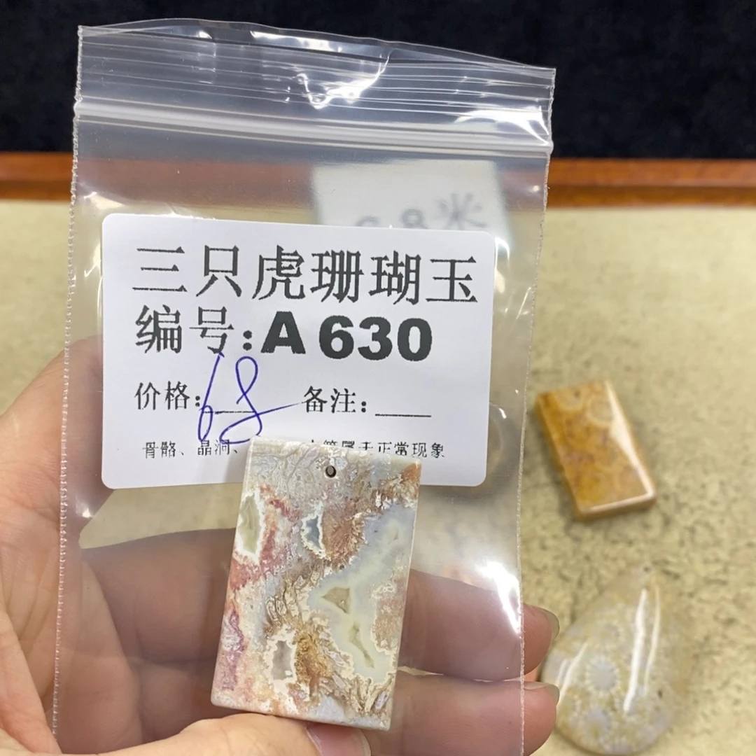 硅化珊瑚（珊瑚玉）1未镶嵌?