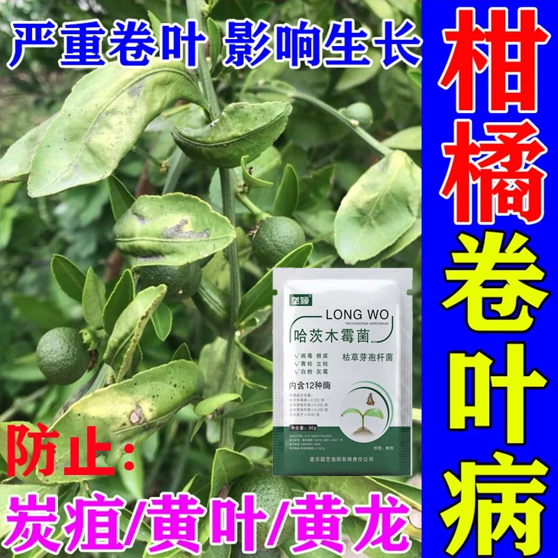 正品柑橘树卷叶通用剂炭疽病疮痂病黑斑黑星冰砂皮病柑橘树叶面肥