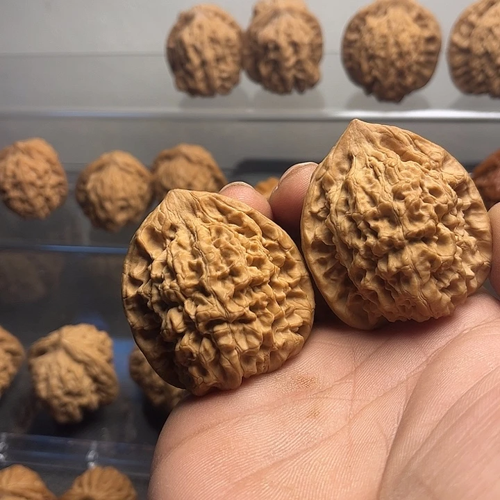 桃核吊坠44王永…………