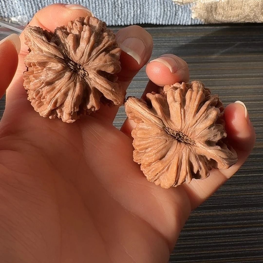 悦***己核桃老树红皮四座楼43全