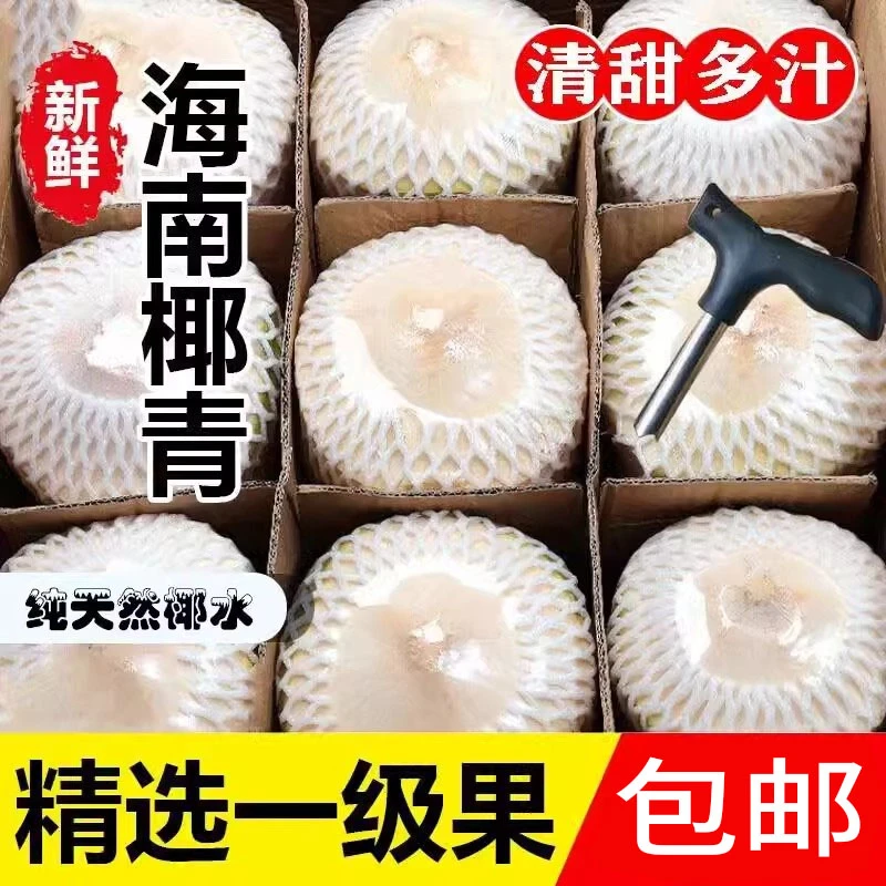 海南文昌去皮新鲜椰青2-9个装特大果精选一级果椰子蛋孕妇补羊水