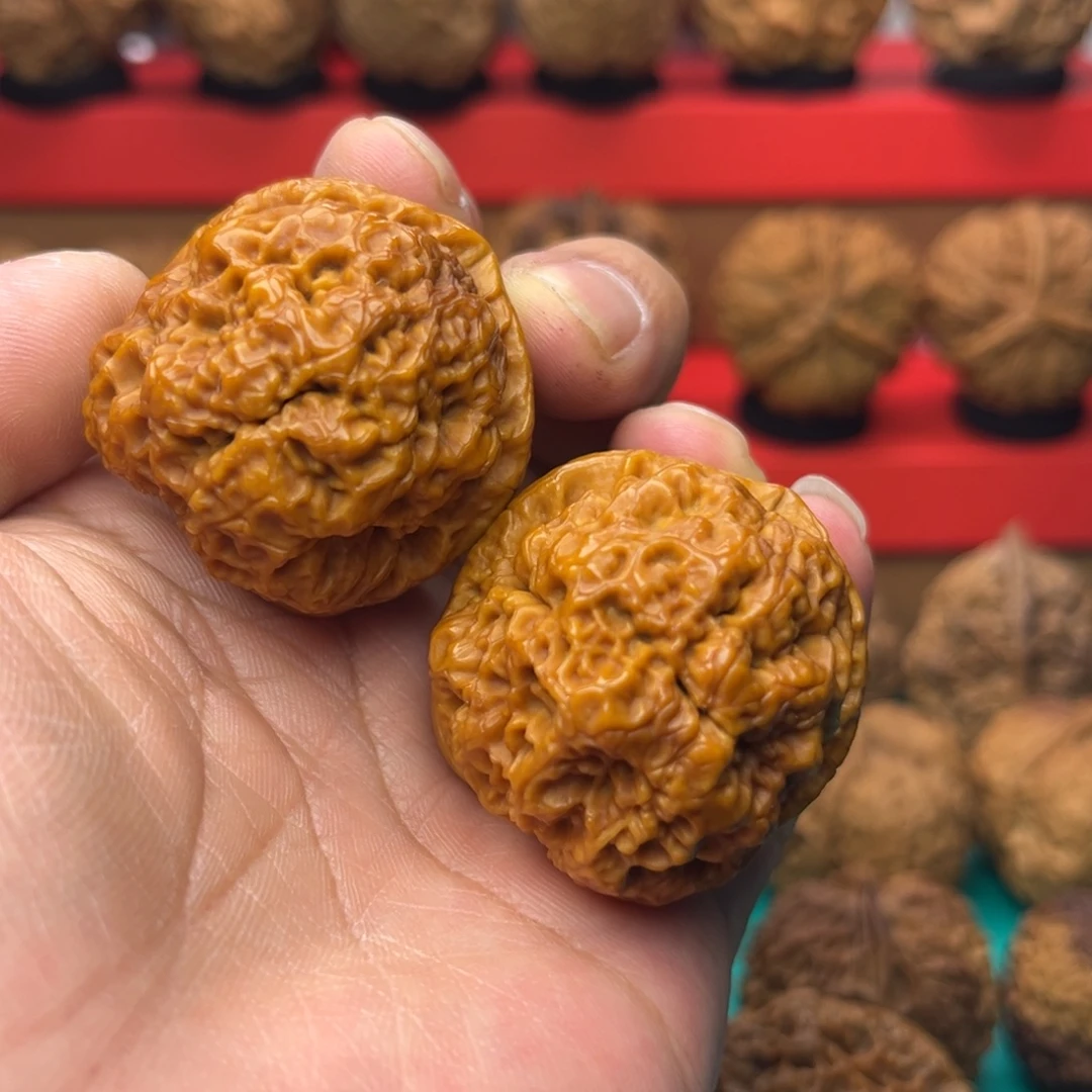 核桃19号爆米花41尺