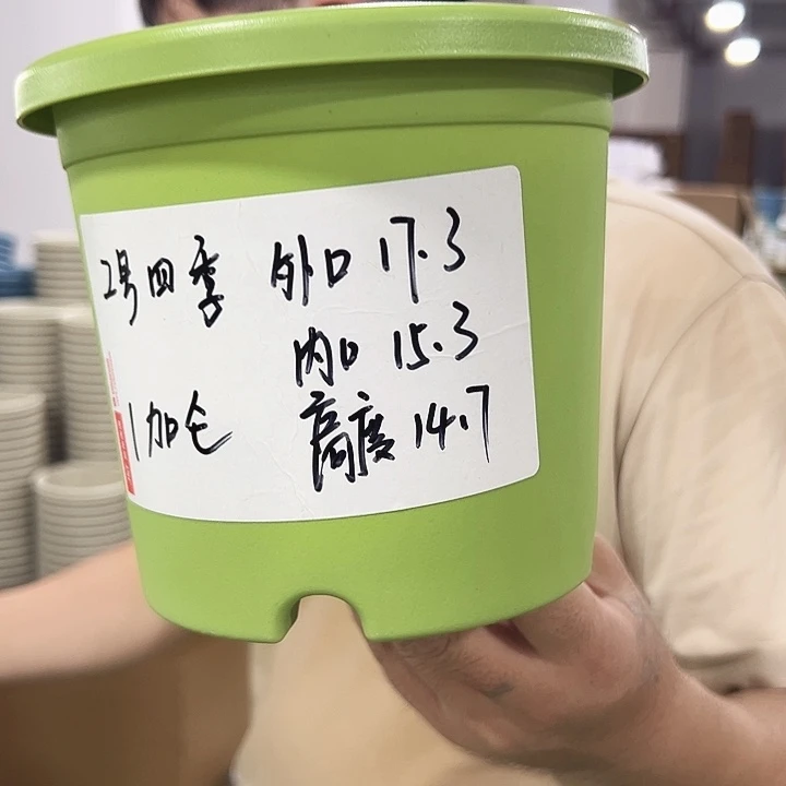 特价2号四季口17高14混色10个无托