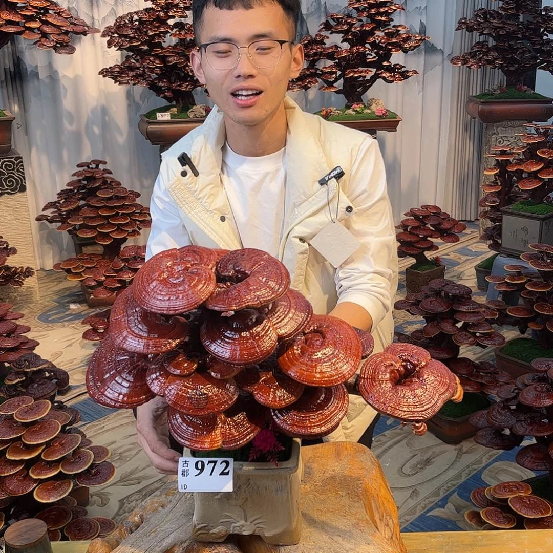 无花朵8888888888888