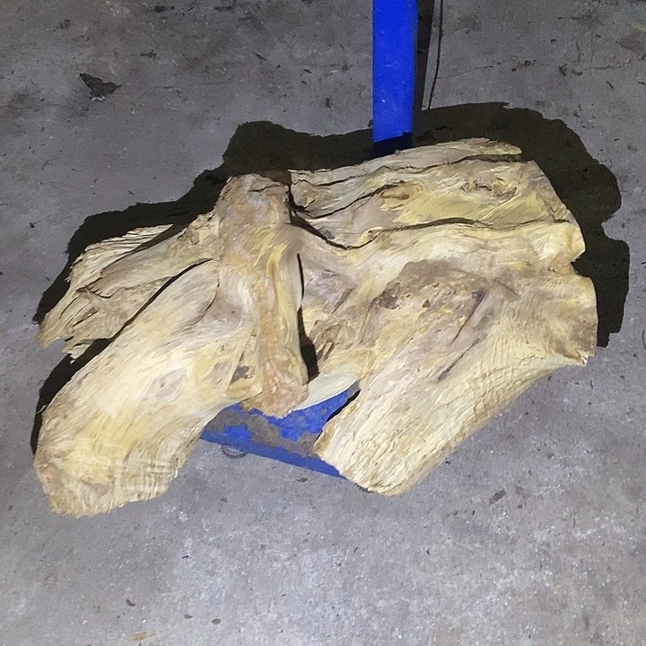 怪***鱼楠木（金丝楠）手串/手链