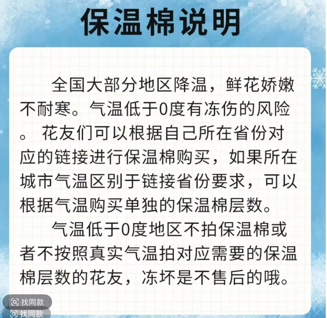 【0度以下必须拍保温棉】蝴蝶兰加棉保温专属单独拍无售后