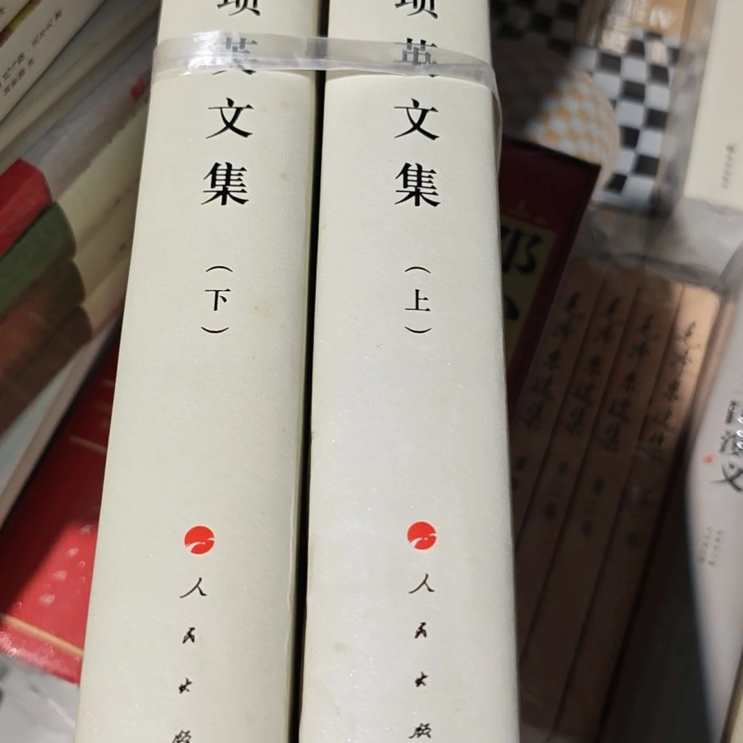 项老师，文集上下册精装19年100印没有塑封。