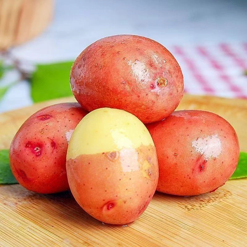 云南下山土特产（土豆）