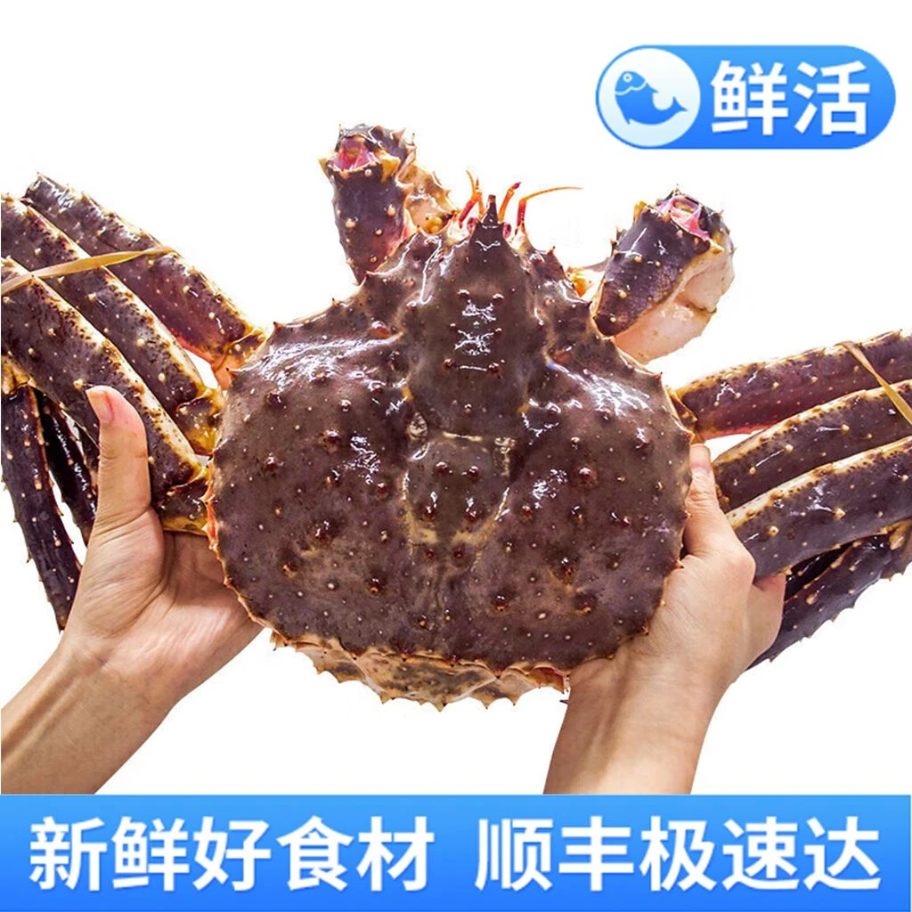 (顺丰空运)俄罗斯帝王蟹鲜活帝王蟹3-11斤活发不包活保鲜保肥