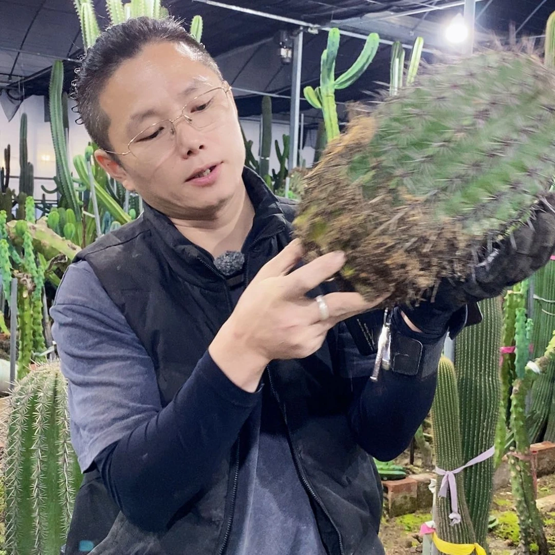 随***安14号拍品。