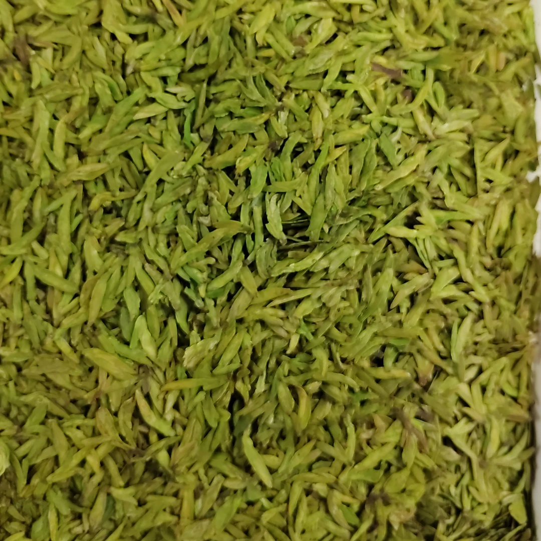 25年新茶明前龙井绿汤芽心小