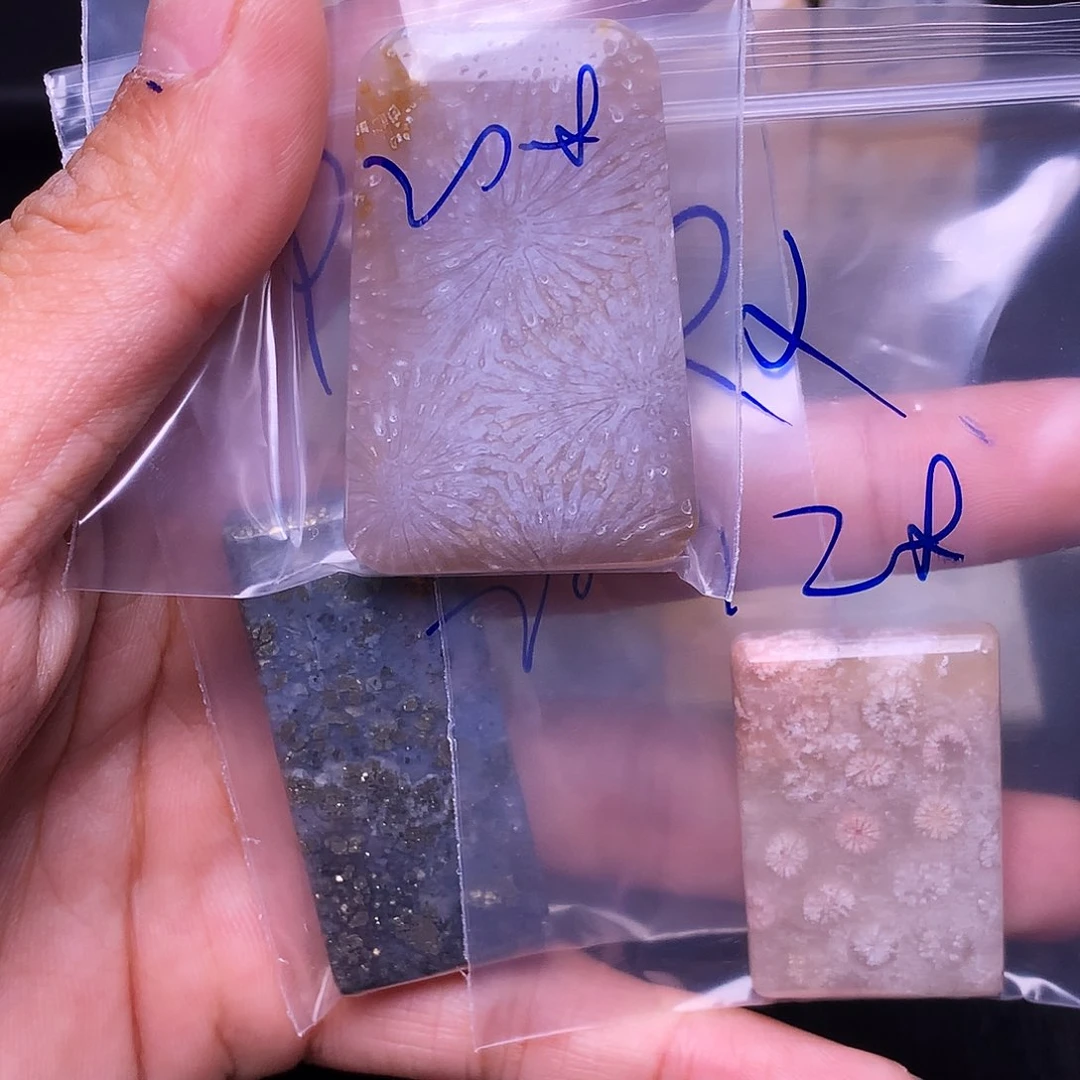 R***X合金硅化珊瑚（珊瑚玉）珠宝奇石