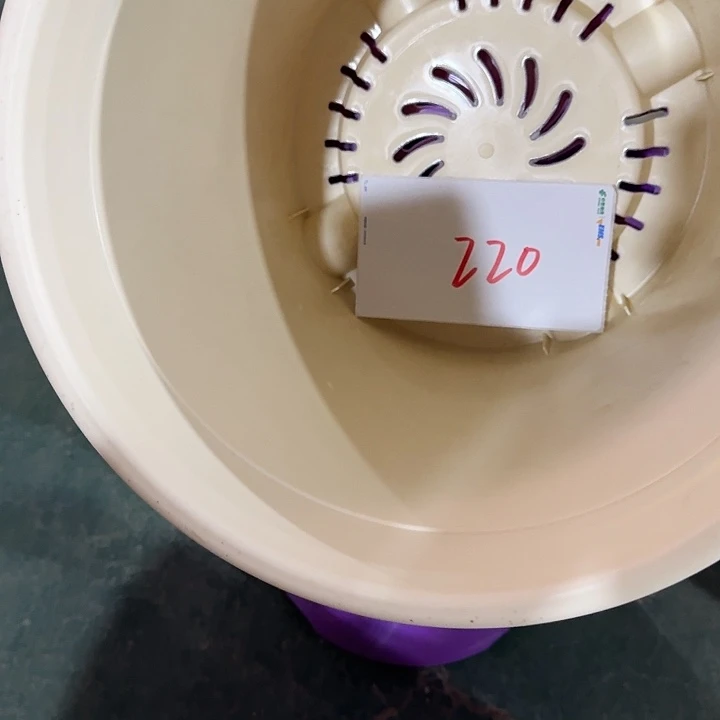 温*风编号220特价琉璃