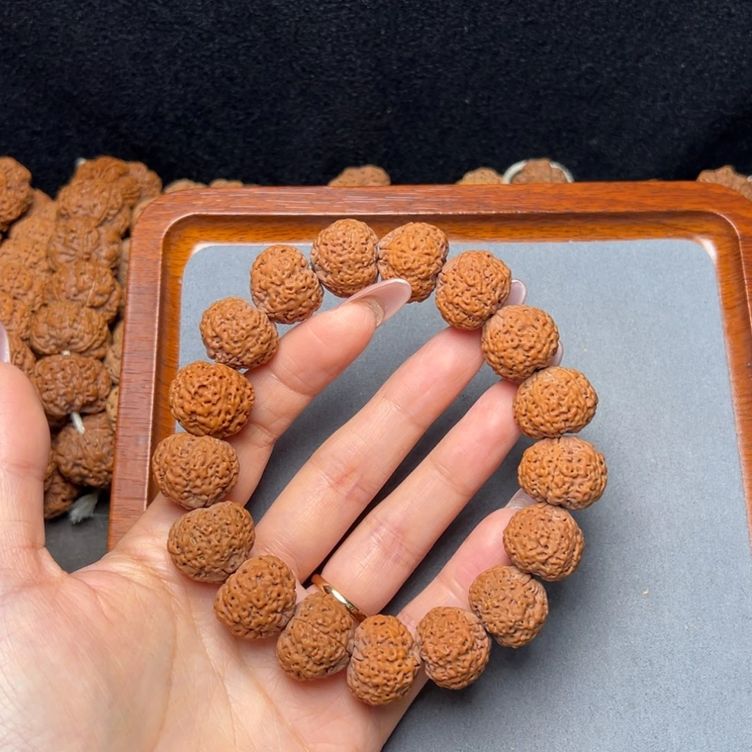 菩提7号金刚菩提菠萝蜜20