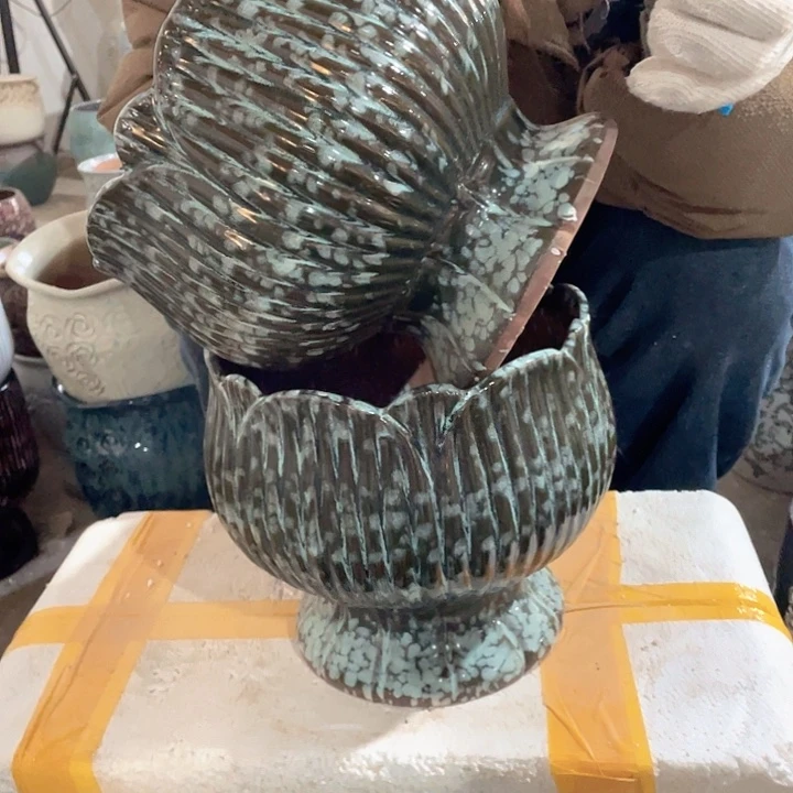 正品20/20两个处理