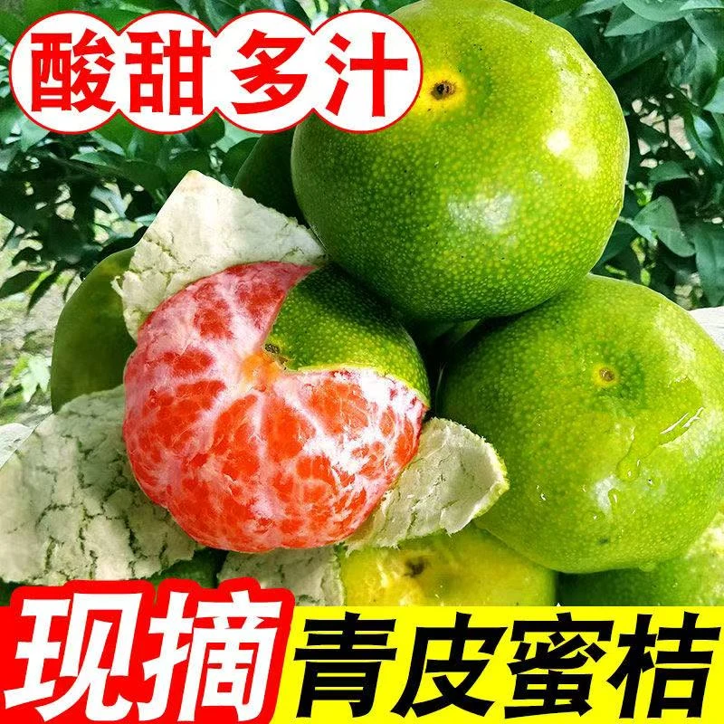 云南青皮蜜橘新鲜现摘无籽薄皮酸甜多汁应季水果