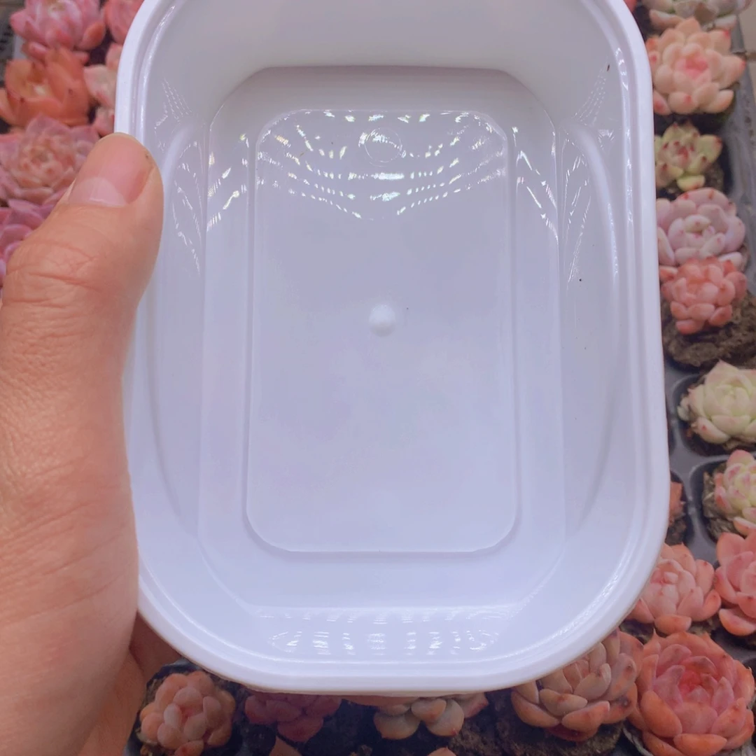 大***子珍妮杂交？105孔001