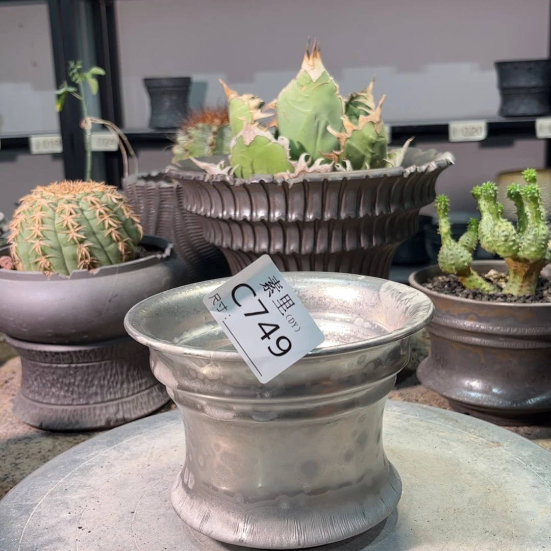 景德镇手工素里内口13.5高10