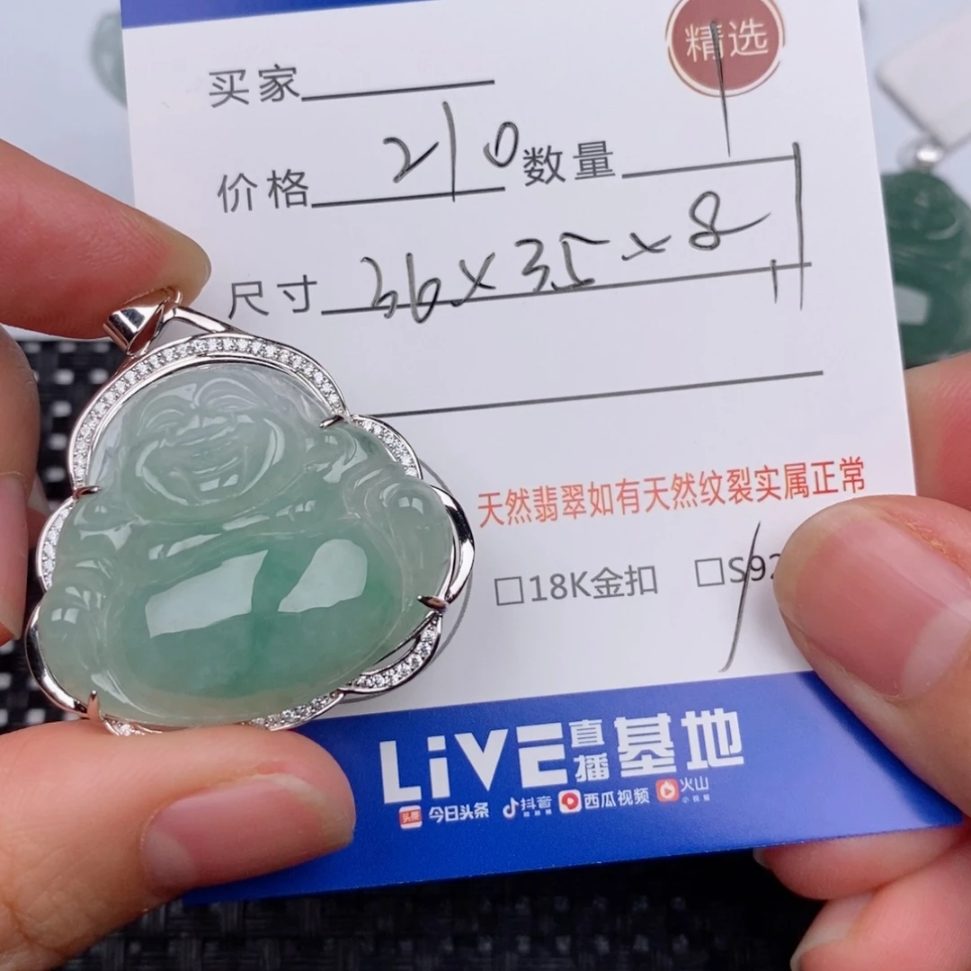 翡翠银S925镶嵌颈饰