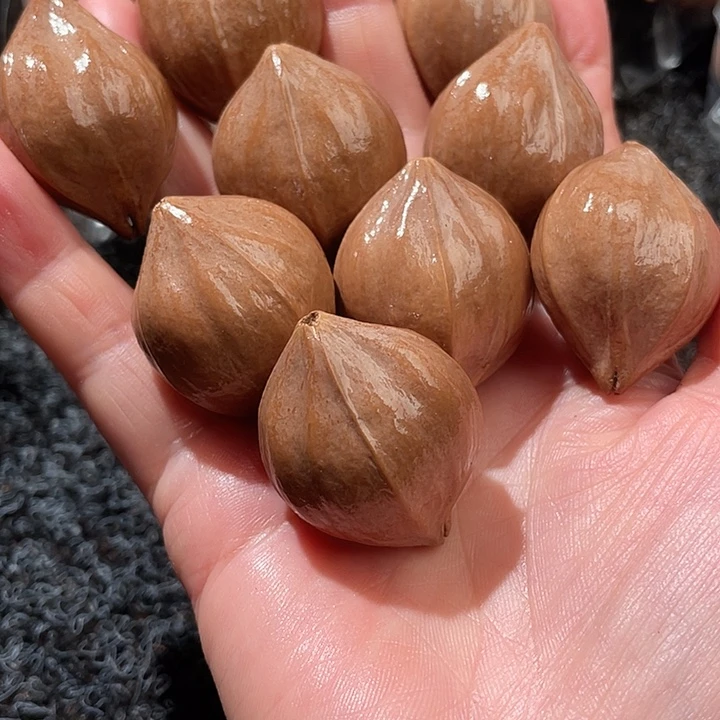 堉***橄榄核吊坠2.7✖️3.5