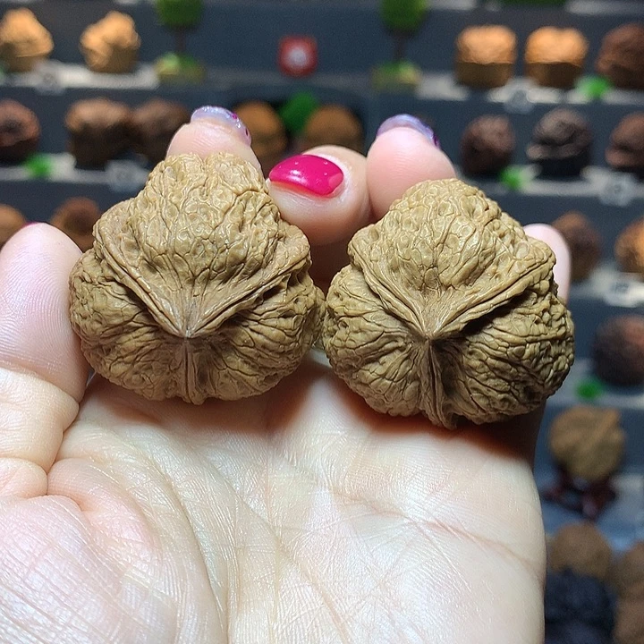 吊坠文玩核桃老树三棱4号