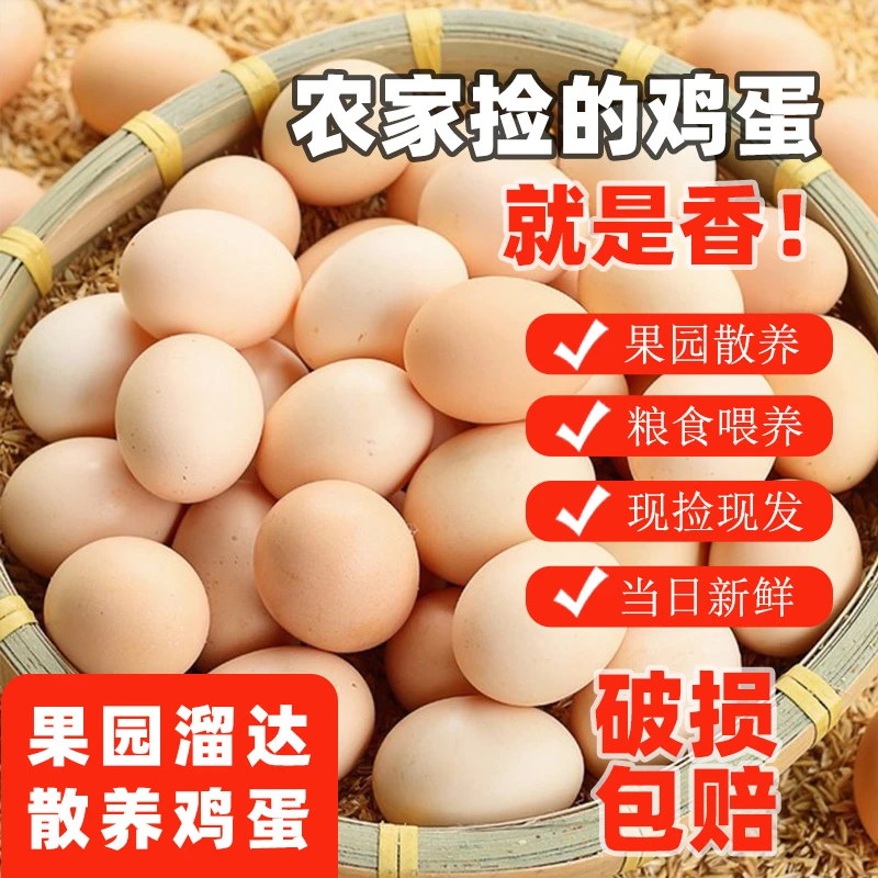 果园散养散放 30枚土鸡蛋 现捡现发营养五谷杂粮蛋