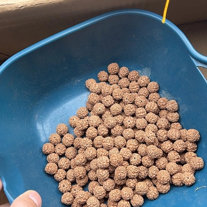金刚菩提手串农***美梅花