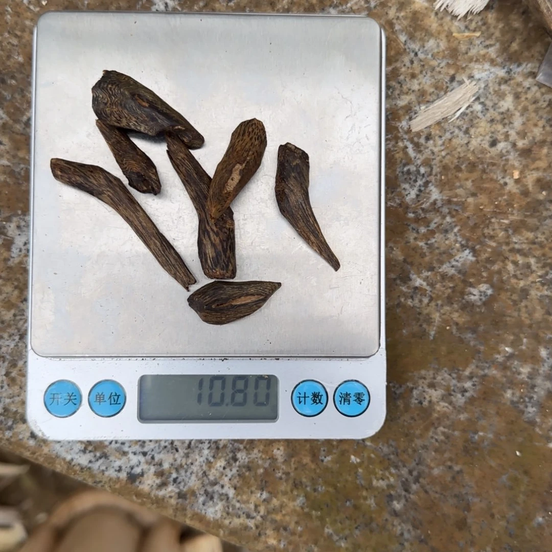 沉香沉香碎屑丁口香