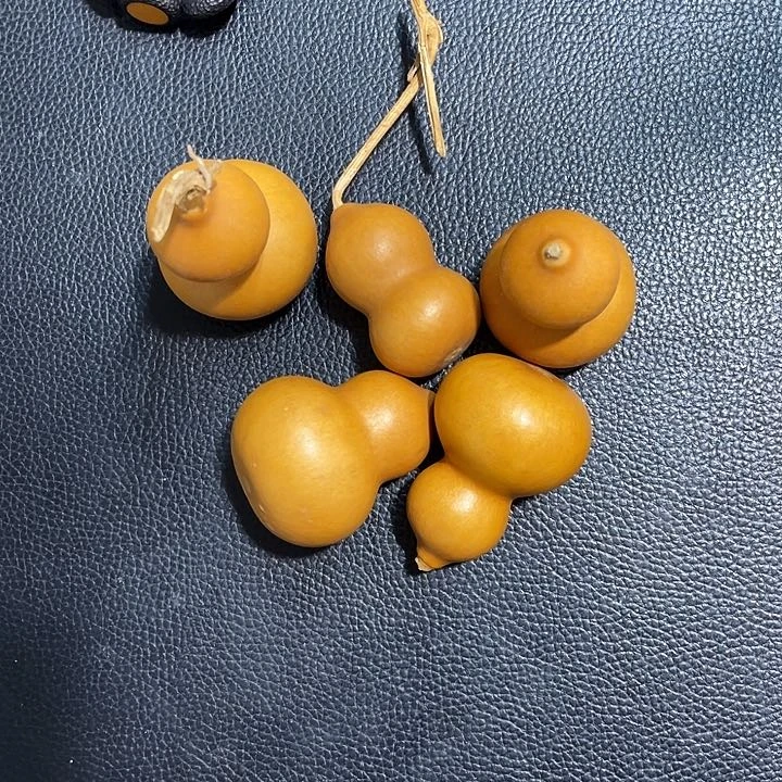 ?*你葫芦葫芦葫芦葫芦