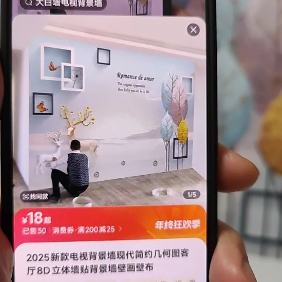 良***哥客厅电视墙壁画壁布材质