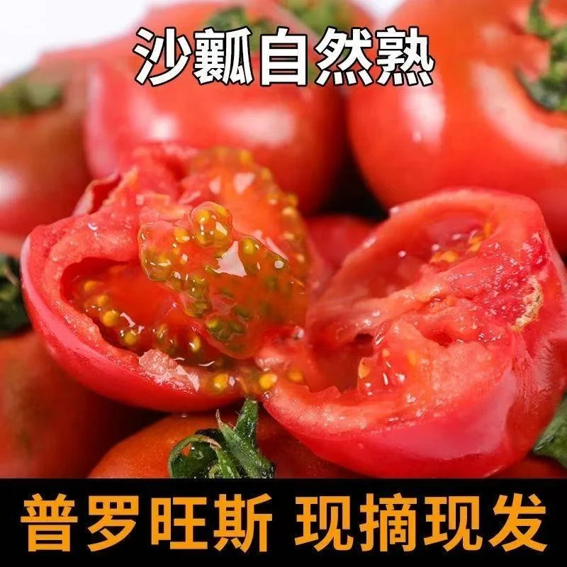山东 普罗旺斯西红柿 4.5斤12-15枚  单果150g+新鲜采摘产地直发