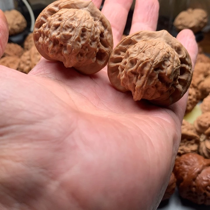 s***1图图是对的地方。