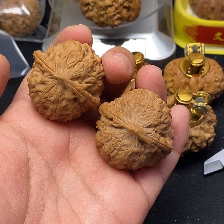 龙脊菩提吊坠大团圆