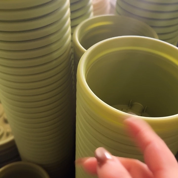 四季2号果绿无托10个