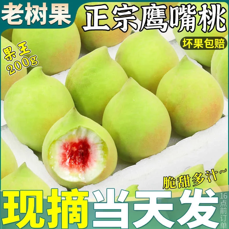 老树大果 1斤/5斤鹰嘴桃新鲜水果当季现摘毛桃水蜜桃子大整箱包邮