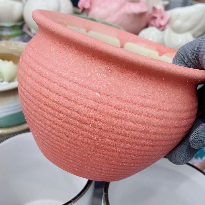 多肉植物陶瓷花盆