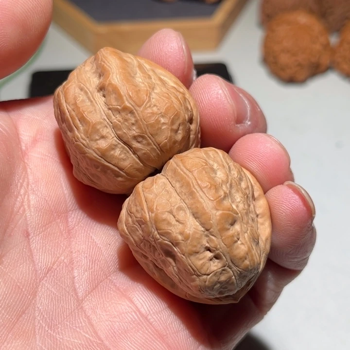 文玩核桃把件36玉蝉