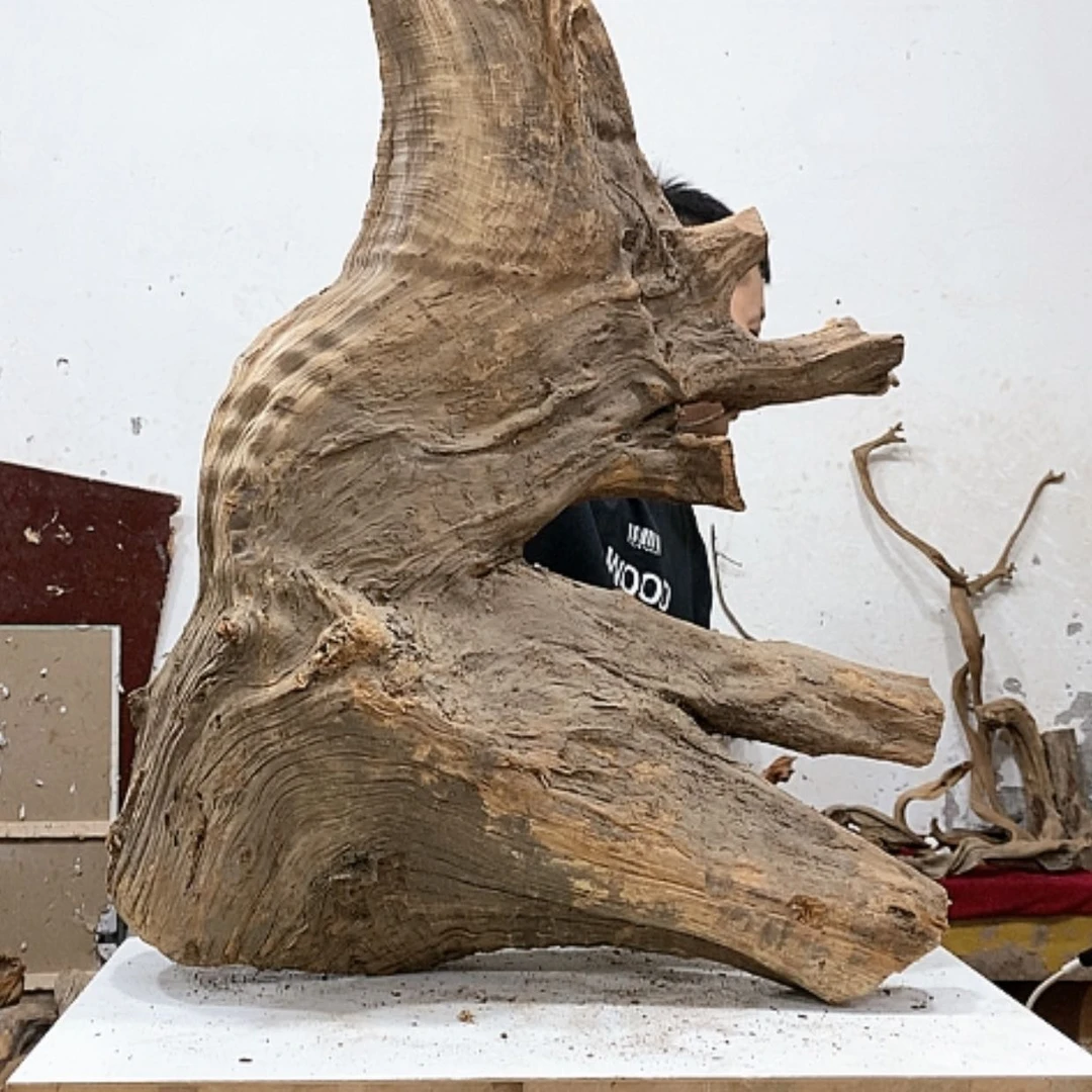 【闪购商品】柏木艳*木我们都是好孩子