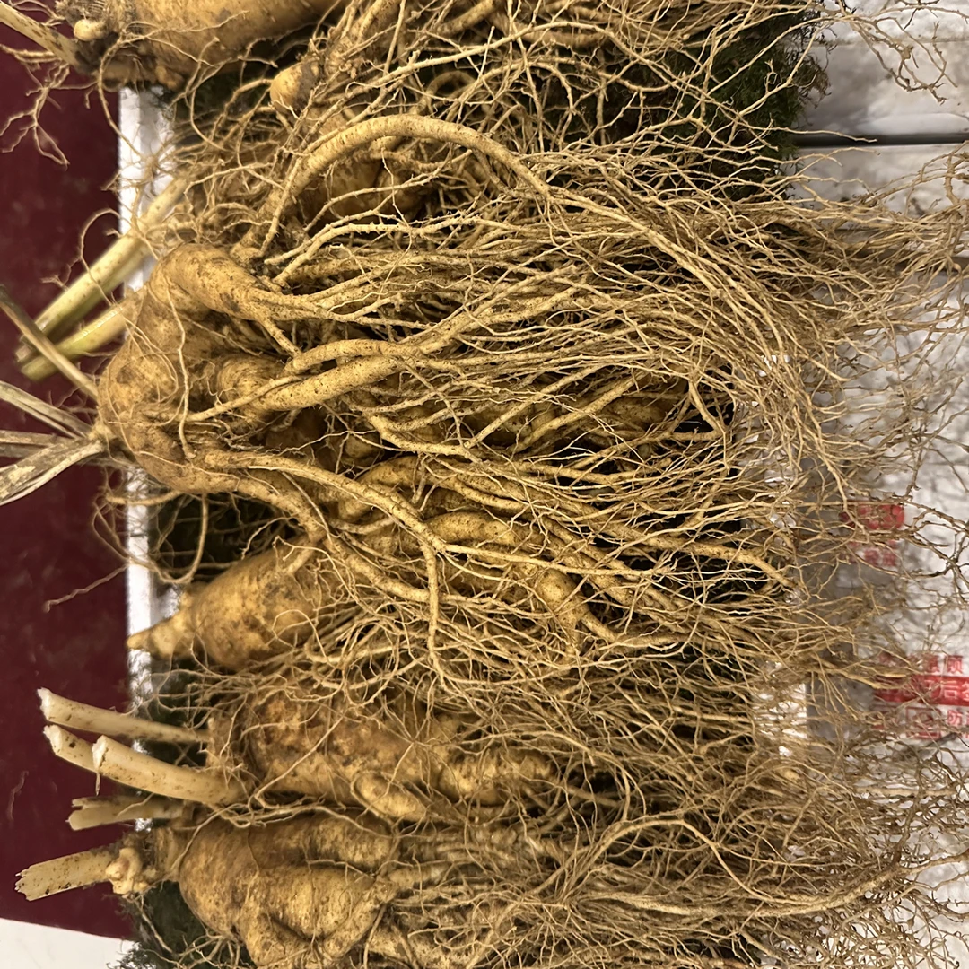 看好规格我是一斤六根
