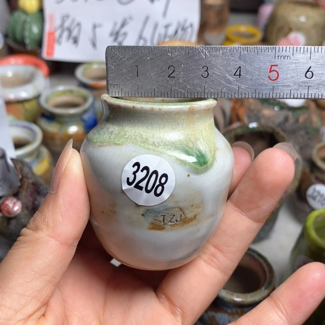 拍5送一个小礼物