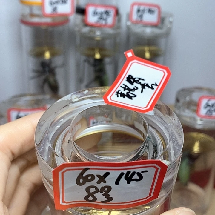 蝈蝈60-145一套随单