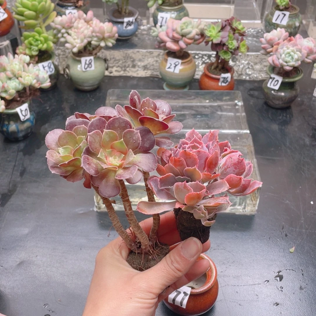 无铅玻璃嫣*花器和我花器花器