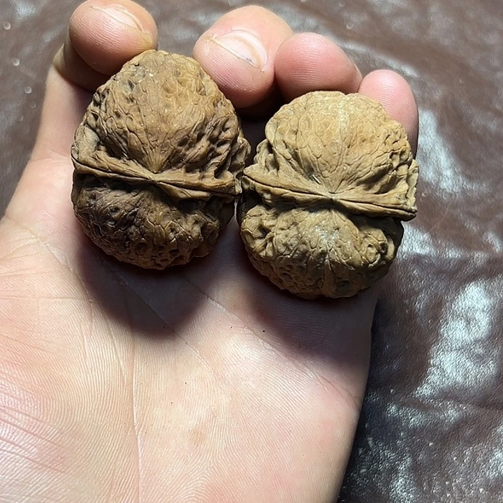 文玩核桃把件38号大蛤蟆
