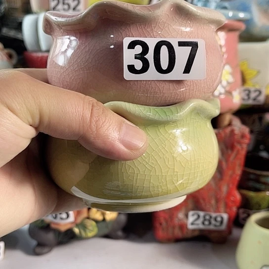 红陶多肉植物花盆