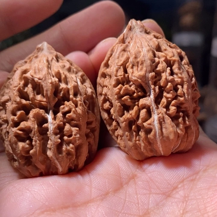 乐***玩文玩核桃吊坠东北楸子 111