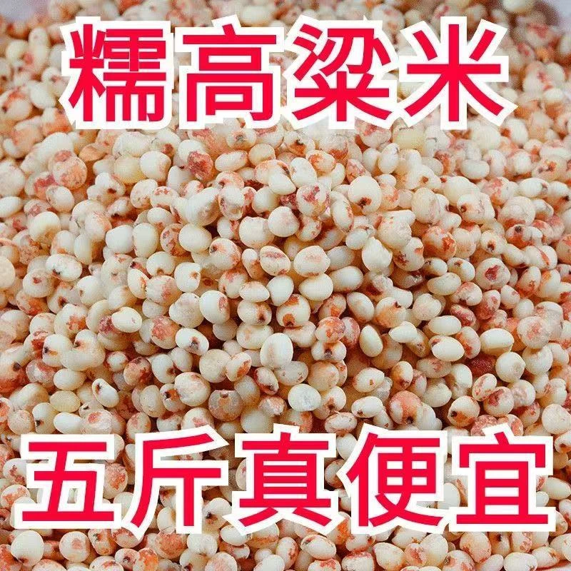 东北红粘高粱米新米现磨现发当季高粱糯高粱米粽子煮粥新米农家