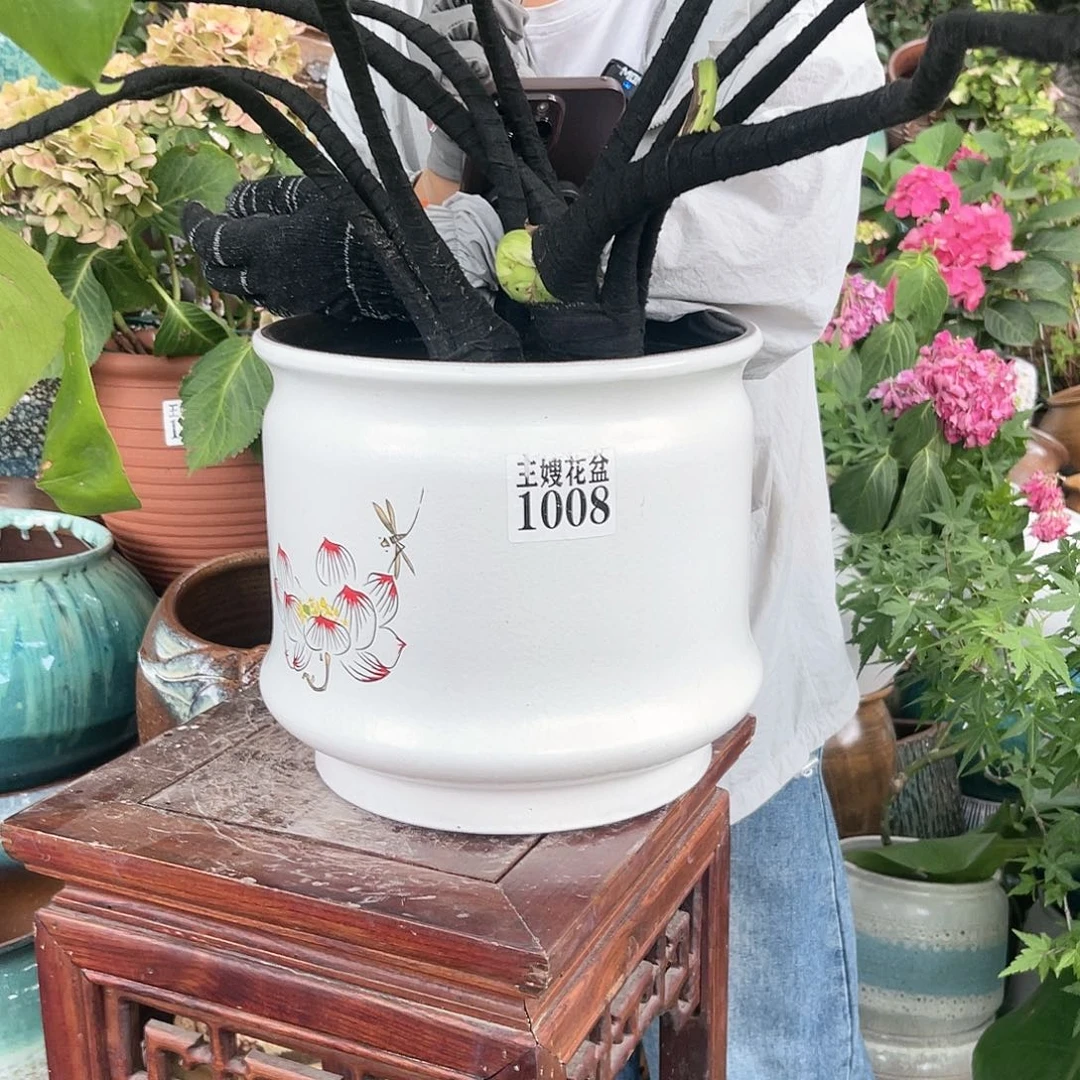 紫砂花盆王嫂花盆直播0531-1008高24口25